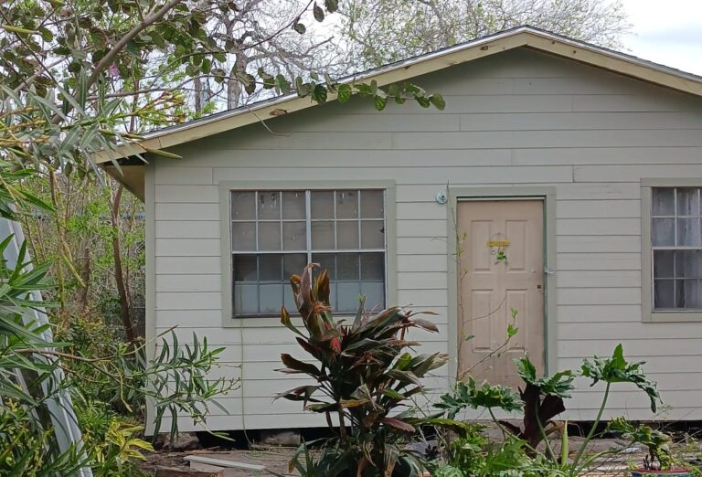 Photo Nov 04 2025, 16 46 54